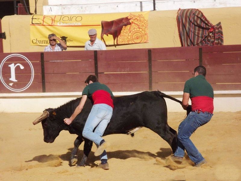 Ficheiro:Ass Eh! Toiro F87.jpg