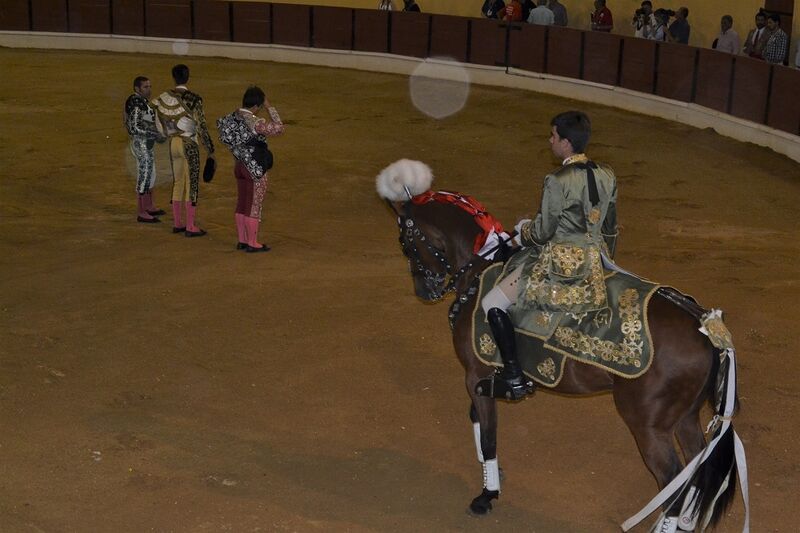 Ficheiro:Chamusca F5.JPG