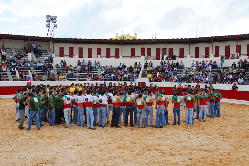 Ficheiro:FBVS 22.JPG