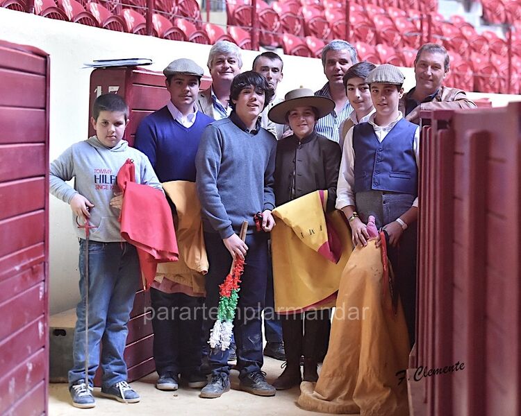 Ficheiro:Vem tourear F33.jpg