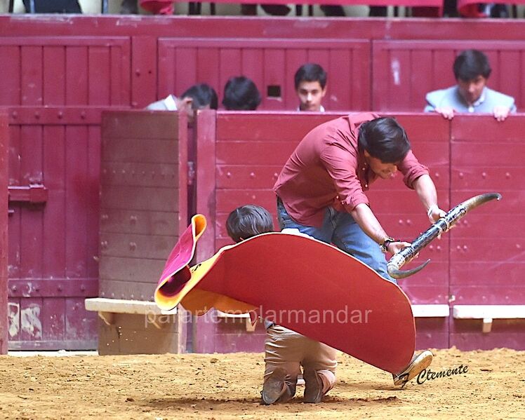 Ficheiro:Vem tourear F7.jpg