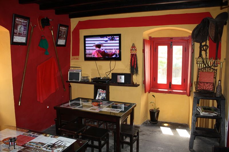 Ficheiro:AT Alagoa F4.JPG
