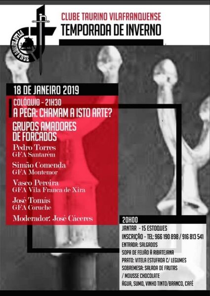 Ficheiro:Coloquio CTVFX 10-01-2019.jpg