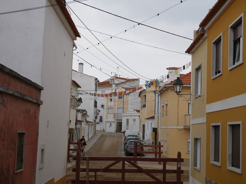 Ficheiro:F01017 FeiraMaio Azambuja 26-05-2018.JPG