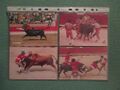 San Fermin F39.JPG