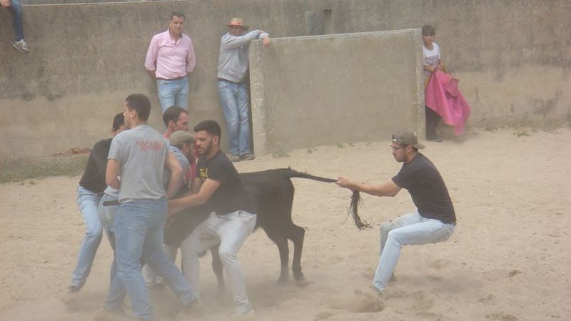 Ficheiro:Faena Buena F13.jpg