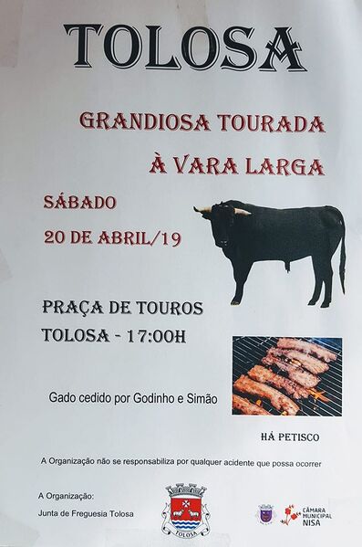 Ficheiro:TVL Tolosa Nisa 2019.jpg