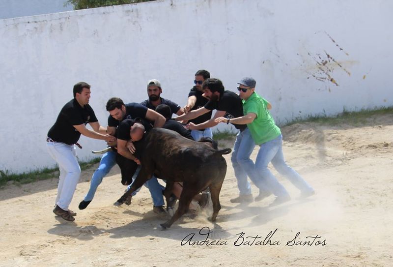 Ficheiro:UTA F16.jpg
