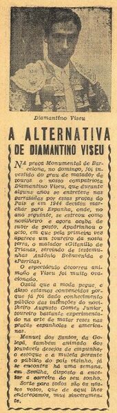 Ficheiro:Diamantino Viseu F3.jpg