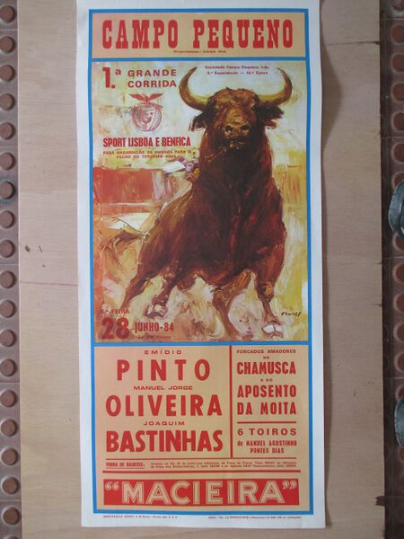 Ficheiro:San Fermin F42.JPG