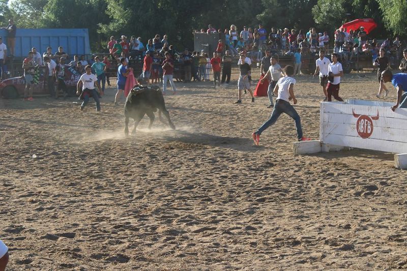 Ficheiro:ABFB F14.jpg