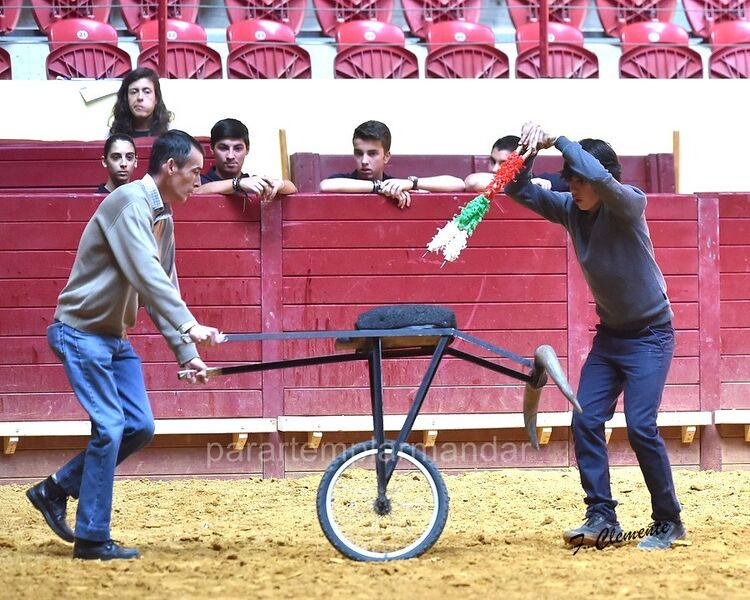 Ficheiro:Vem tourear F8.jpg