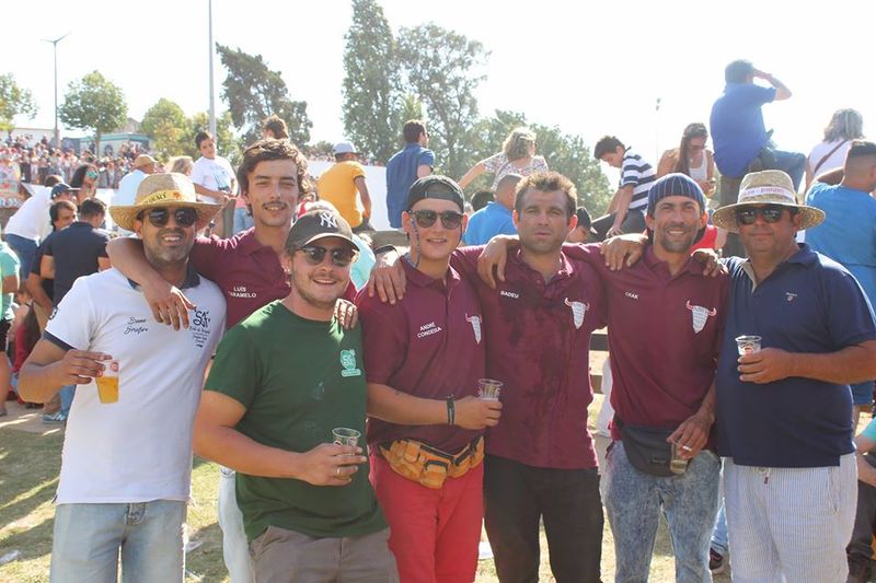 Ficheiro:ABFB F11.jpg