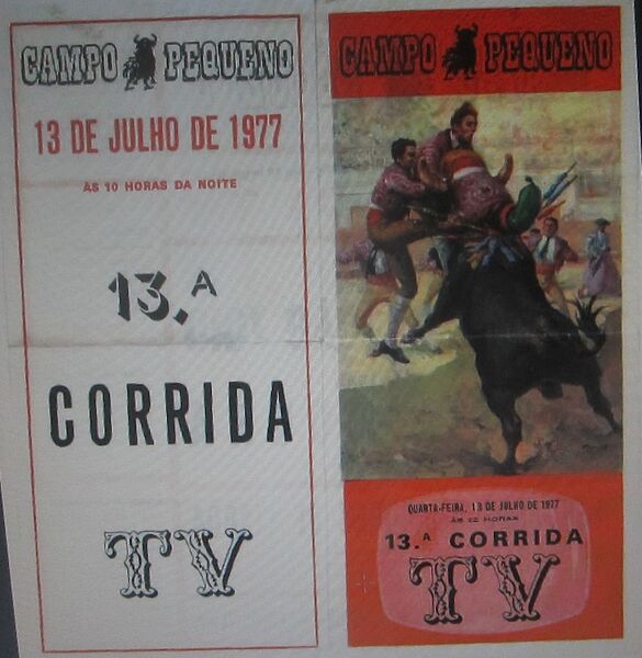 Ficheiro:IMG 2222.JPG