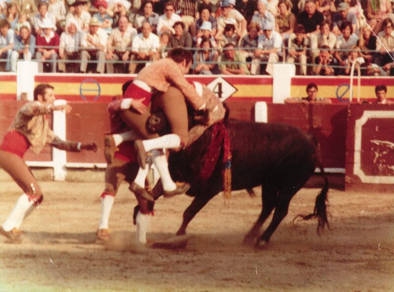 Ficheiro:GFAS F73.jpg