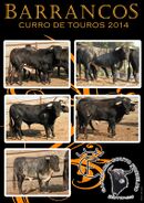 Barrancos CurroTouros 2014.jpg