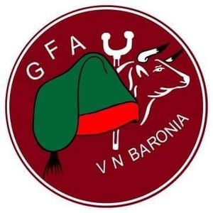 GFA Vila Nova da Baronia.jpg