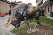 Touro Ponte de Lima.jpg