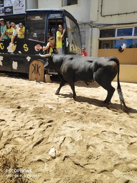 Ficheiro:Kanecus F4.jpg