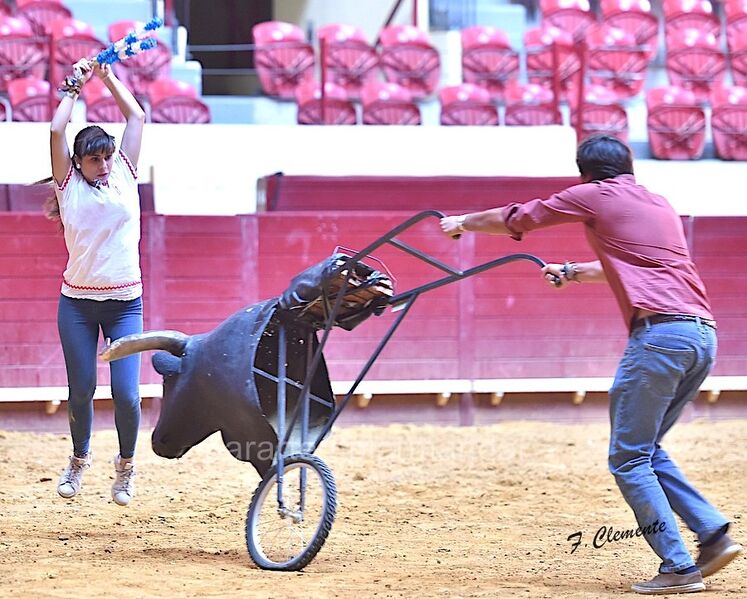 Ficheiro:Vem tourear F25.jpg