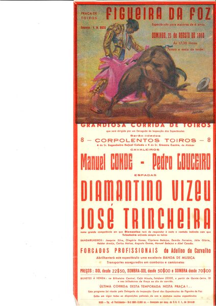 Ficheiro:20190222121858283 0002.jpg