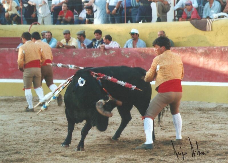 Ficheiro:GFA Arronches F28.jpg