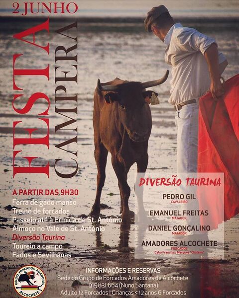 Ficheiro:Cartaz 0786.jpg