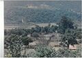 F01946.jpg