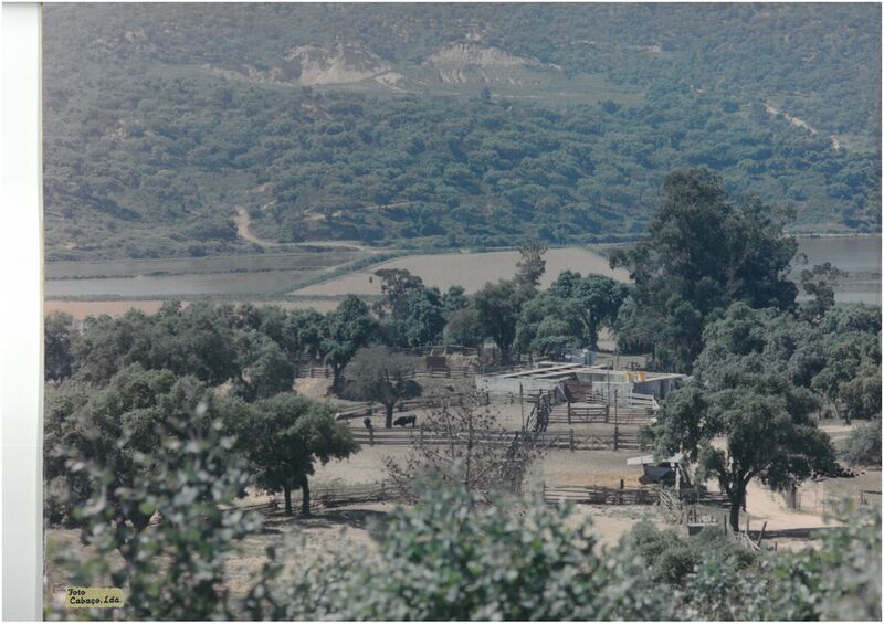 Ficheiro:F01946.jpg