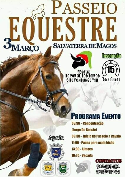 Ficheiro:PasseioEsquestre SMagos 2019.jpg