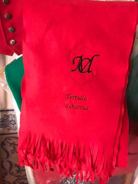 Ficheiro:Charrua F7.jpg