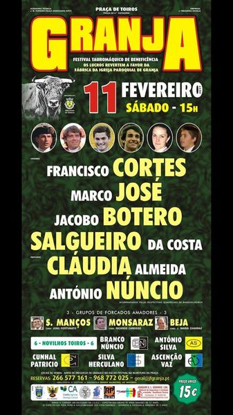 Ficheiro:Cartaz 0517.jpg