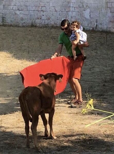 Ficheiro:David Ferreira F39.jpeg