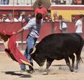 David Ferreira F31.jpeg