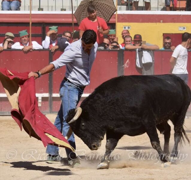 Ficheiro:David Ferreira F31.jpeg