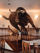 Parede3D Styler Restaurante-Domingos-Ambrosio Sabugal 2020.jpg