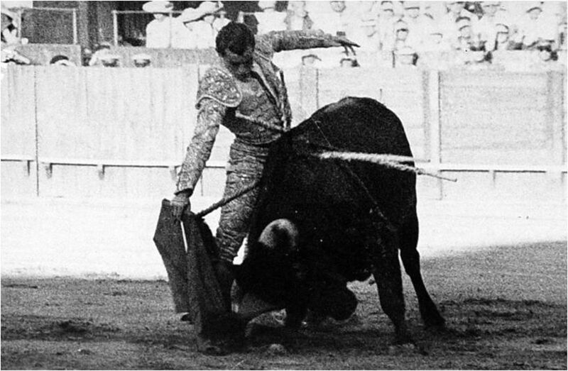 Ficheiro:PACO F13.jpg