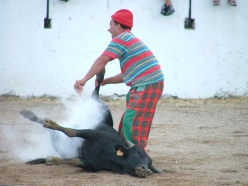 Ficheiro:CA 1199.JPG