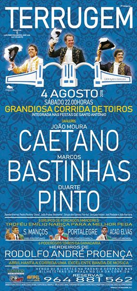Ficheiro:Cartaz 0156.jpg