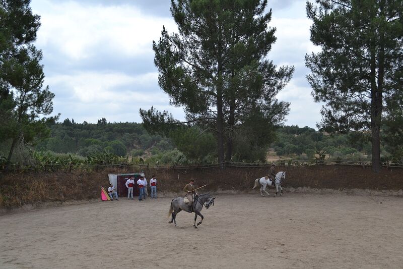 Ficheiro:Ganadaria Manuel Veiga F25.JPG