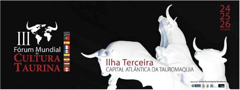Ficheiro:IIIForumMCT 2014.jpg