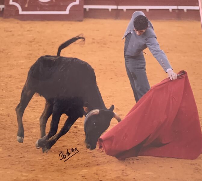 Ficheiro:David Ferreira F22.jpeg
