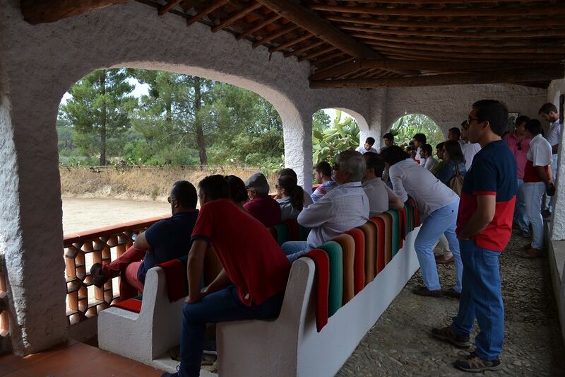 Ficheiro:Ganadaria Manuel Veiga F11.JPG