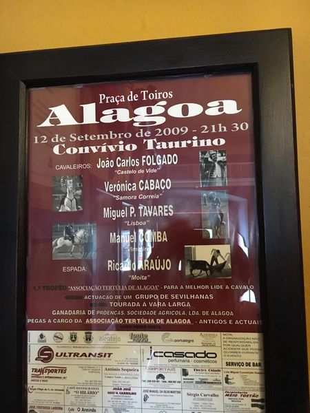 Ficheiro:AT Alagoa F19.JPG