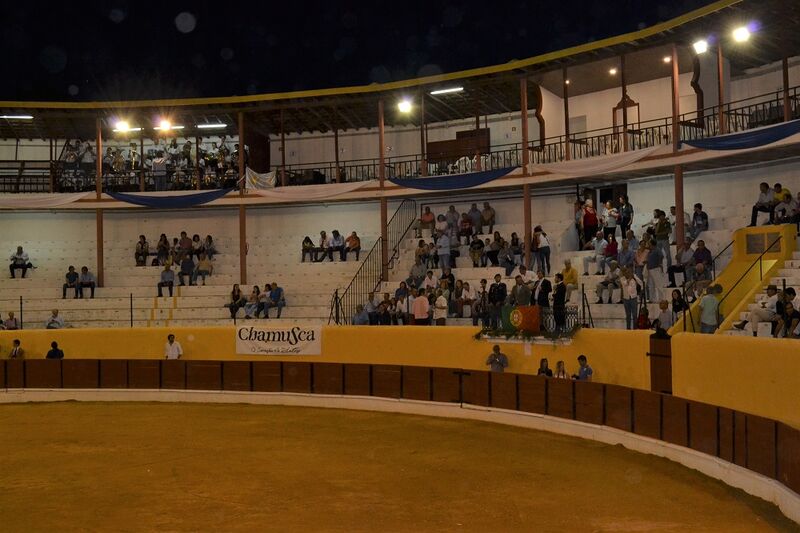 Ficheiro:Chamusca F2.JPG