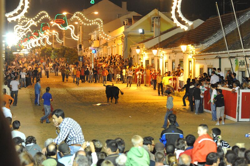 Ficheiro:FBVS 26.JPG