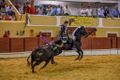 Ass Eh! Toiro F134.jpg