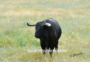 Visiita Herdade da Galeana 14.jpg