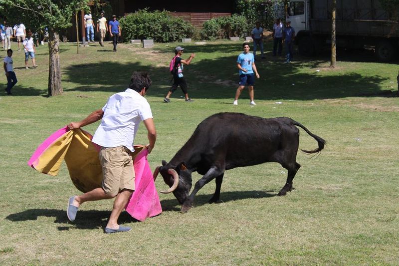 Ficheiro:ABFB F8.jpg