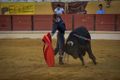 Ass Eh! Toiro F139.jpg